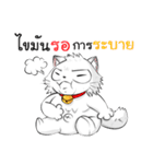 Jewyee Angry Cat（個別スタンプ：12）