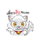 Jewyee Angry Cat（個別スタンプ：13）