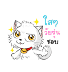 Jewyee Angry Cat（個別スタンプ：14）