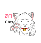 Jewyee Angry Cat（個別スタンプ：15）