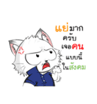 Jewyee Angry Cat（個別スタンプ：22）