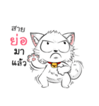 Jewyee Angry Cat（個別スタンプ：23）