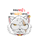 Jewyee Angry Cat（個別スタンプ：26）