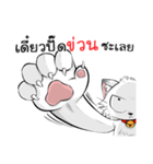 Jewyee Angry Cat（個別スタンプ：29）