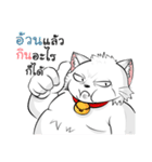 Jewyee Angry Cat（個別スタンプ：34）