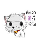 Jewyee Angry Cat（個別スタンプ：40）