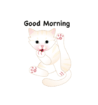 KATI fat cat（個別スタンプ：1）