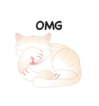 KATI fat cat（個別スタンプ：5）