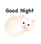 KATI fat cat（個別スタンプ：6）