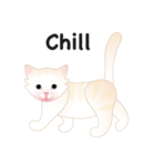 KATI fat cat（個別スタンプ：7）