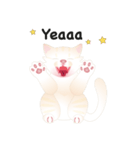 KATI fat cat（個別スタンプ：35）