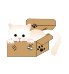 KATI fat cat（個別スタンプ：36）