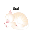 KATI fat cat（個別スタンプ：39）