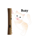 KATI fat cat（個別スタンプ：40）
