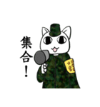 Communicate fighting Meow（個別スタンプ：31）