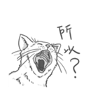 Annoying Cat - Mifu（個別スタンプ：3）