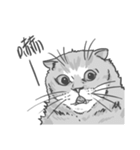 Annoying Cat - Mifu（個別スタンプ：7）