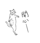 Annoying Cat - Mifu（個別スタンプ：10）