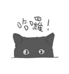 Annoying Cat - Mifu（個別スタンプ：11）