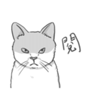 Annoying Cat - Mifu（個別スタンプ：14）
