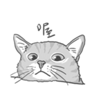 Annoying Cat - Mifu（個別スタンプ：15）