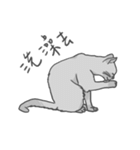 Annoying Cat - Mifu（個別スタンプ：16）