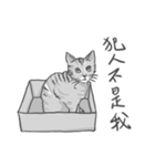 Annoying Cat - Mifu（個別スタンプ：17）