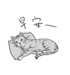 Annoying Cat - Mifu（個別スタンプ：22）
