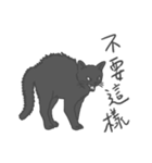 Annoying Cat - Mifu（個別スタンプ：25）