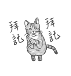 Annoying Cat - Mifu（個別スタンプ：27）