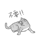 Annoying Cat - Mifu（個別スタンプ：28）