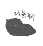 Annoying Cat - Mifu（個別スタンプ：31）