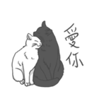 Annoying Cat - Mifu（個別スタンプ：37）
