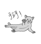Annoying Cat - Mifu（個別スタンプ：38）