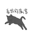 Annoying Cat - Mifu（個別スタンプ：39）
