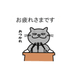 眉毛のあるねこ（個別スタンプ：31）