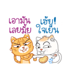 Two cats are talking（個別スタンプ：2）