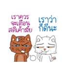 Two cats are talking（個別スタンプ：20）