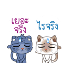 Two cats are talking（個別スタンプ：31）