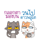 Two cats are talking（個別スタンプ：34）