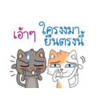 Two cats are talking（個別スタンプ：39）