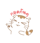 Sa-Rang Cat（個別スタンプ：2）