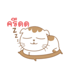 Sa-Rang Cat（個別スタンプ：14）