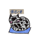 アニマル柄猫たち（個別スタンプ：25）