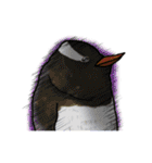 カワイイ動物達（個別スタンプ：1）