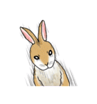 カワイイ動物達（個別スタンプ：7）