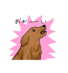 カワイイ動物達（個別スタンプ：11）