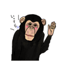 カワイイ動物達（個別スタンプ：20）