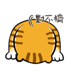 Cute little tiger（個別スタンプ：13）