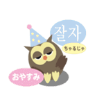 フクロウde日本語toハングル（個別スタンプ：1）